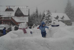 oameni de zapada straja