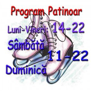 program patinoar