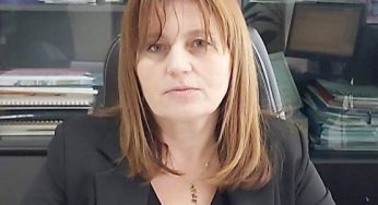 Bulina albă