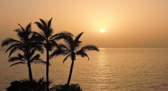 N-o să-ți vină să crezi! Cele mai surprinzătoare lucruri pe care le vei afla într-o vacanță în Tenerife